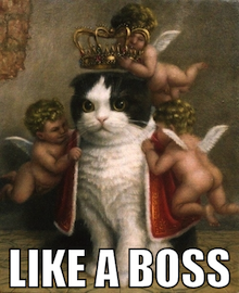 king-cat-boss